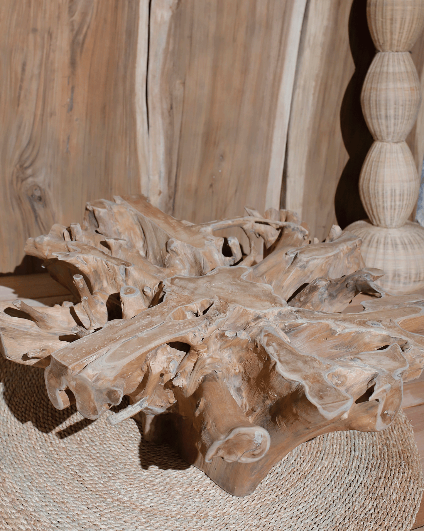 ROOT TABLE