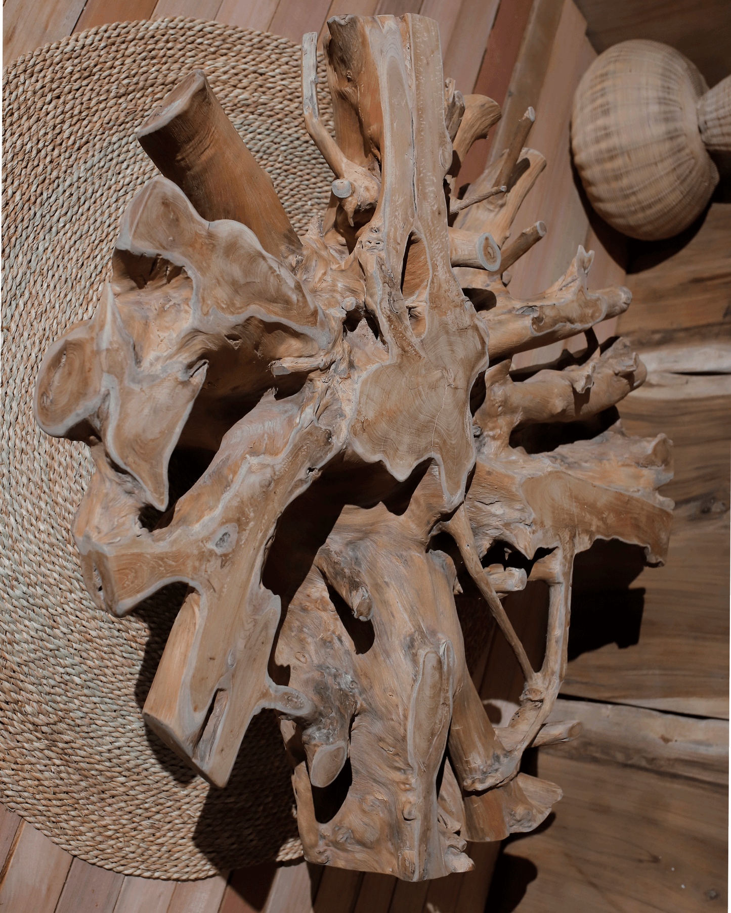 ROOT TABLE