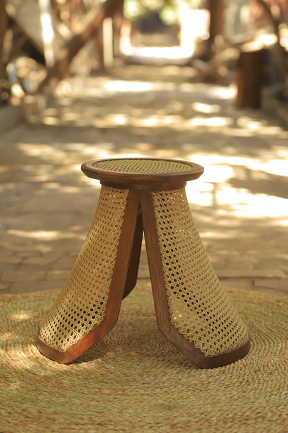 Wood table and cane