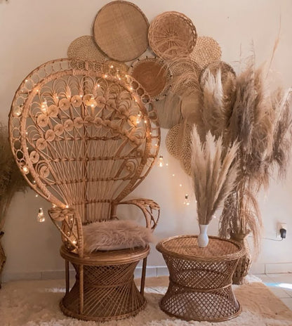 Bamboo peacock chair